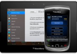 blackberry-bridge-tips-1