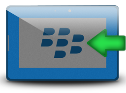 DDPB Icon