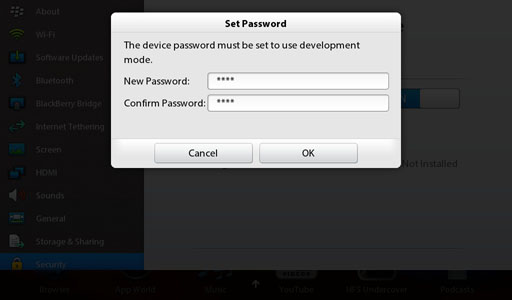 Set Password Dev Mode Playbook