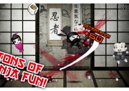 Pocket-Ninjas-Tons-of-Ninja-Fun