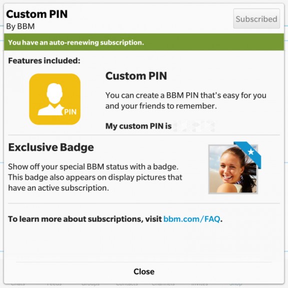 Custom BBM PINs